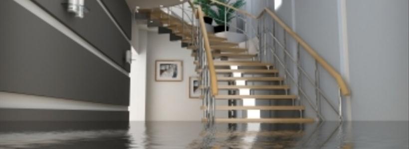 Water Losses and Your Home Insurance…. Are You “Really” Covered?