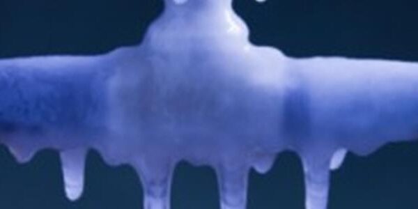 Frozen Pipes, the Resulting Water Damage, and Now Snow--Is It Time to Call in the Cavalry?