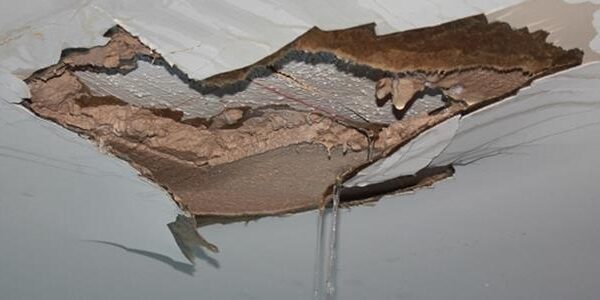 BlogImage (10) AOB (Assignment of Benefits) abuse, is it over? Best read the new law to find out.