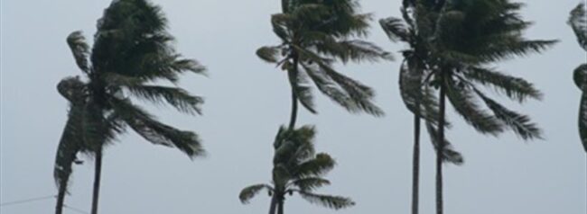 BlogImage (11) ABC Action News Explains Florida’s Property Insurance Disaster