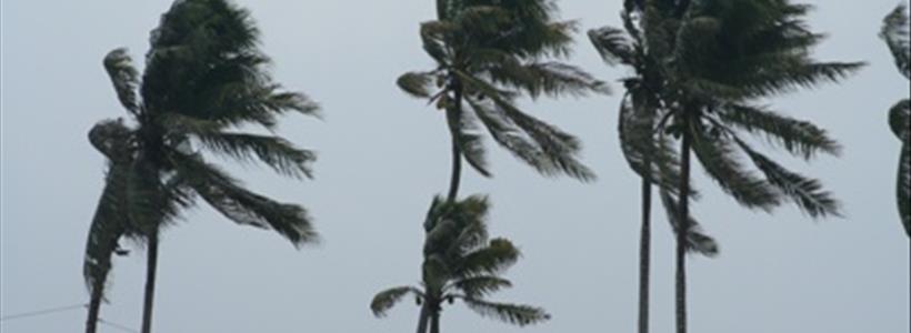 BlogImage (11) ABC Action News Explains Florida’s Property Insurance Disaster