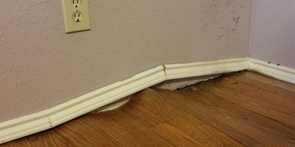 BlogImage (13) Policyholder Asks Public Adjuster to Take a Closer Look at Their Pittsburgh Water Damage Claim