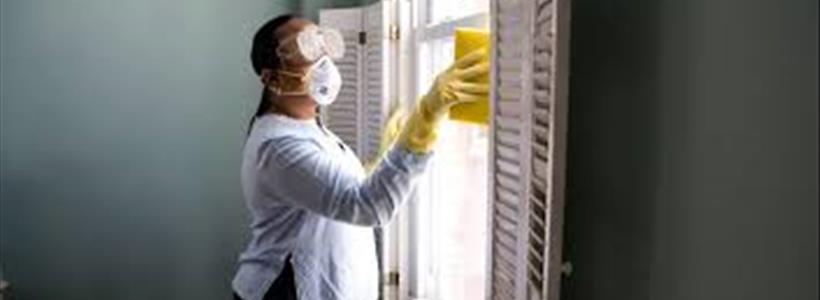 Covid Business Interruption Claims – The Saga Continues