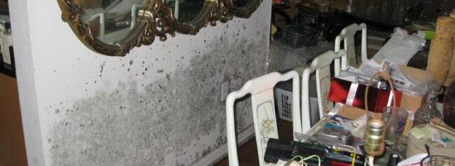 BlogImage (14) Dealing with Mold Damage Insurance Claims after Hurricane Michael