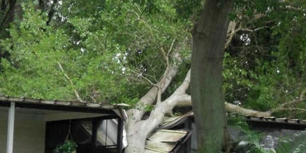 Hurricane Hermine Insurance Claim Mistakes Tampa Bay Property Owners Should Avoid