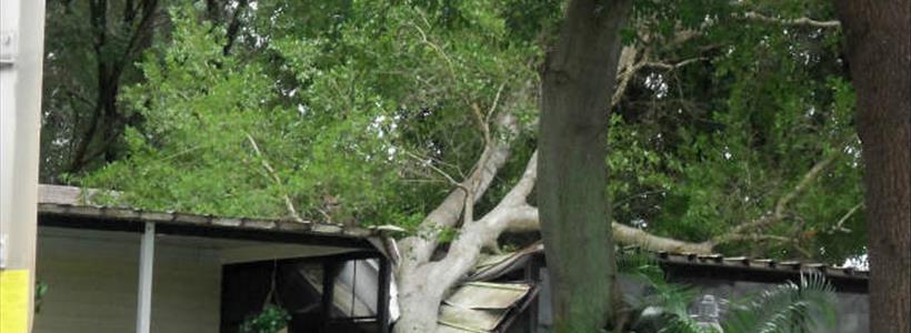 Hurricane Hermine Insurance Claim Mistakes Tampa Bay Property Owners Should Avoid