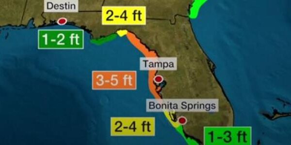 BlogImage (18) Tropical Storm Elsa Preparation Pre and Post Storm Insurance Claim Tips
