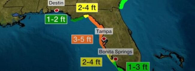 Tropical Storm Elsa Preparation Pre and Post Storm Insurance Claim Tips