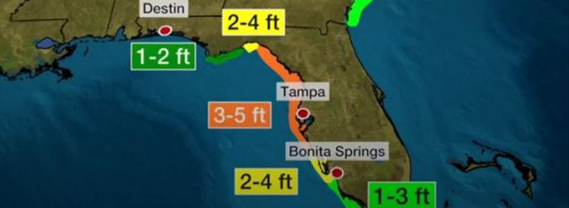 Tropical Storm Elsa Preparation Pre and Post Storm Insurance Claim Tips