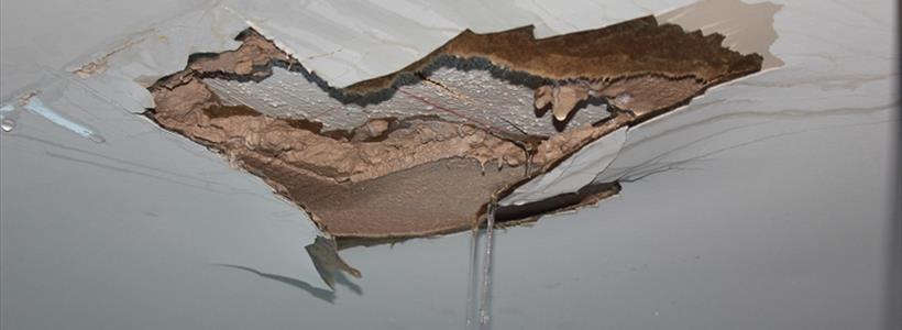 Troubled Waters - Water Insurance Claims Under Attack