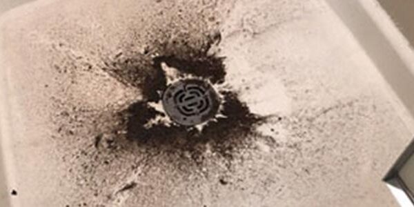 BlogImage (2) Policyholder Question – Something is very stinky with this adjuster’s position on sewer back-up insurance claim