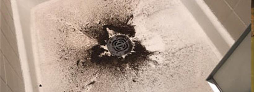 BlogImage (2) Policyholder Question – Something is very stinky with this adjuster’s position on sewer back-up insurance claim