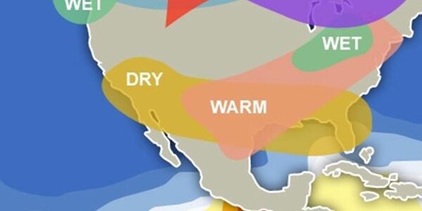 Managed Repair Tips and Some Personal Observations from My Recent Trip to the Caribbean