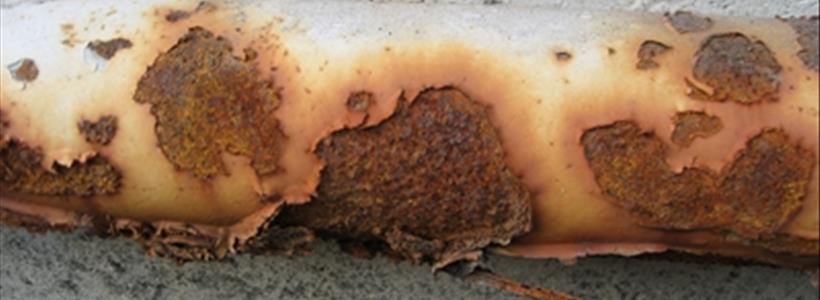 The Wall Street Journal Claims Legal Abuse by Florida’s Trial Bar Related to Insurance Claim Water Losses Contributes to Increased Property Insurance Rates