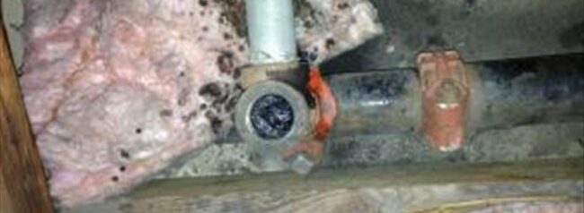 One Month In, Texas Property Owners Face Insurance Claim Delays and Excessive Scrutiny