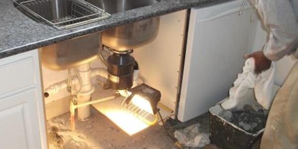 BlogImage (3) Policyholder Question: Additional Living Expense (ALE) Conflicts and Cash Out Offers