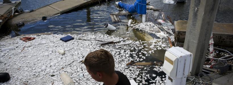 Policyholder Question – Is Executor Entitled to Insurance Settlement from Hurricane Matthew?