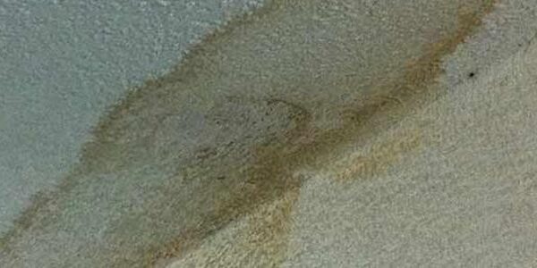 BlogImage (30) AOB SOB