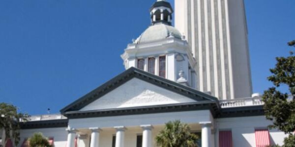 The Florida Legislature Debates Umpires and Appraisers…This is Not Baseball Spring Training