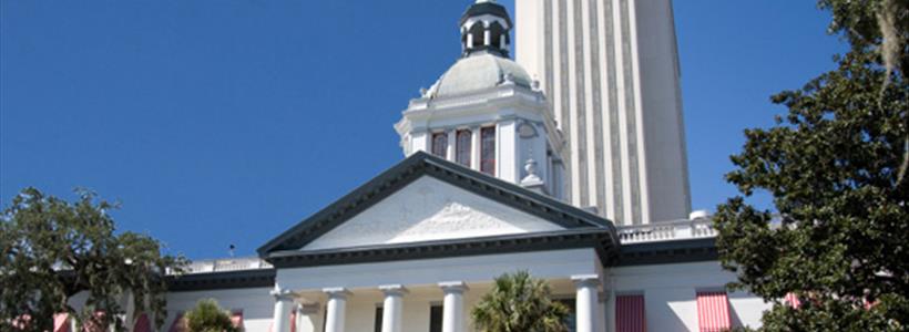 The Florida Legislature Debates Umpires and Appraisers…This is Not Baseball Spring Training