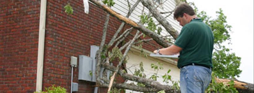 Insurance property appraisers and umpires on agenda at Florida Legislature