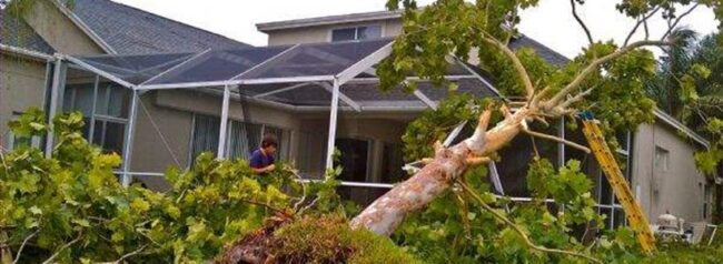 Our Most Popular Property Insurance Claim Posts of 2015