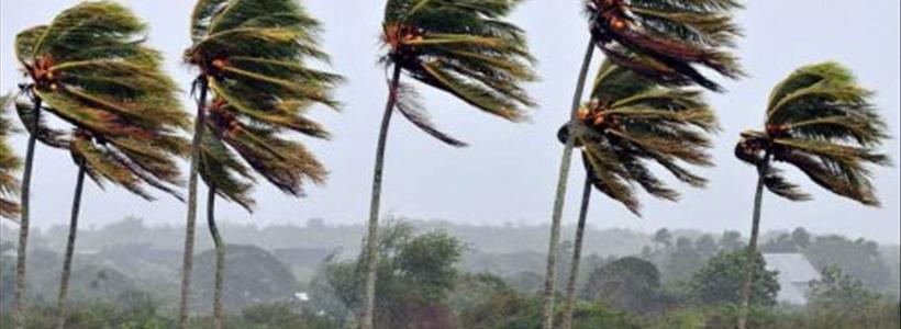 Adjuster Education – Reinsurance and Assessment Explained