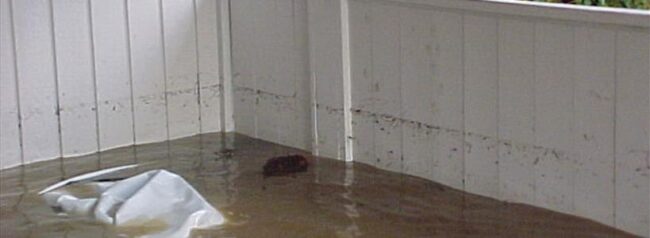 Additional Living Expenses Explained for Tampa Flood Homeowners