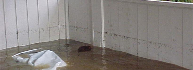 Additional Living Expenses Explained for Tampa Flood Homeowners