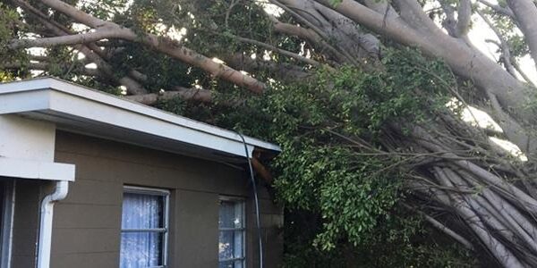 BlogImage (8) Hurricane Irma’s Deductible Surprise & Other Insurance Policy Surprises Hurting the Policyholder