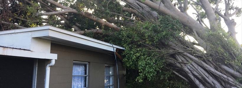 Hurricane Irma’s Deductible Surprise & Other Insurance Policy Surprises Hurting the Policyholder