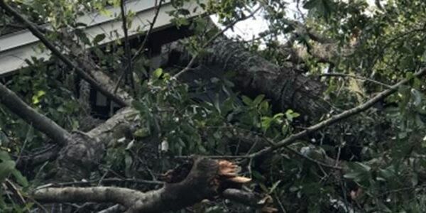 Hurricane Irma Roof Damage - Repair or Replace?