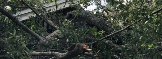 BlogImage (8) Hurricane Irma Roof Damage - Repair or Replace?