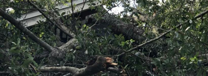 Hurricane Irma Roof Damage - Repair or Replace?