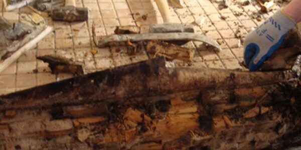 Policyholder Question: Public Adjuster clarifies property insurance claim coverage question for a shower pan leak