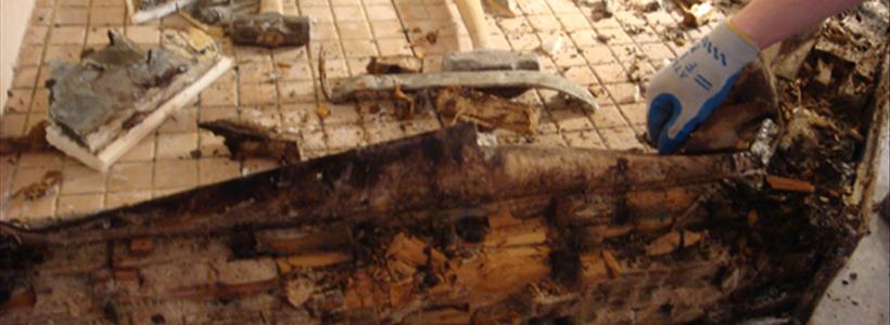 Policyholder Question: Public Adjuster clarifies property insurance claim coverage question for a shower pan leak