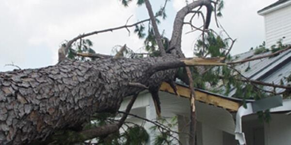 Our Most Popular Property Insurance Claim Posts of the Year Part I