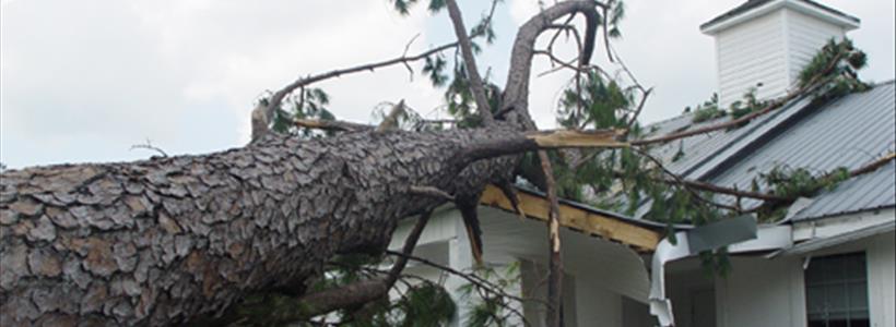 Our Most Popular Property Insurance Claim Posts of the Year Part I