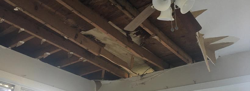 Will Christmas be merry or will old man Scrooge ruin the season of giving for policyholders?