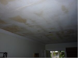 Upscale Condominium Water Loss