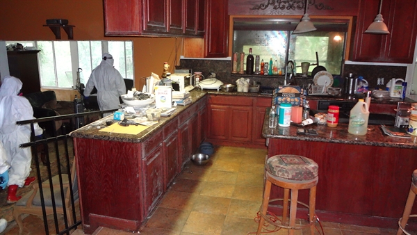 Farah1 Tropical Storm Debby Causes Sewer Back-Up & Roof Damage in Luxury Home