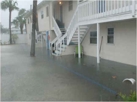 Palm of Madeira Quick Turn-around for Condo Association Tropical Storm Debby Flood Claim