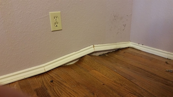 Policyholder Asks Public Adjuster to Take a Closer Look at Their Pittsburgh Water Damage Claim Policyholder Asks Public Adjuster to Take a Closer Look at Their Pittsburgh Water Damage Claim