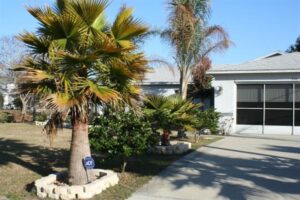 Spring Hill, FL Sinkhole Claim & the Perils of Managed Repair - Insurance Company Pays Out 100% Over Initial Offer Due to Their Insistence on Using Option to Repair 